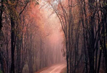 怎么在线观看浙江卫视直播？有哪些靠谱渠道和注意事项？