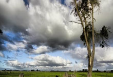 哪里能看乒乓球直播在线直播？这些精彩看点别错过！